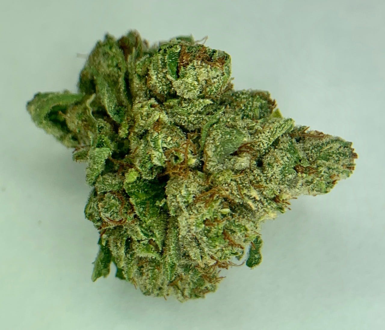 marijuana-dispensaries-549-n-western-ave-los-angeles-exclusive-el-chapo-og