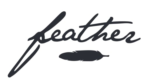 Feather Live Resin Disposable Pen - 300mg