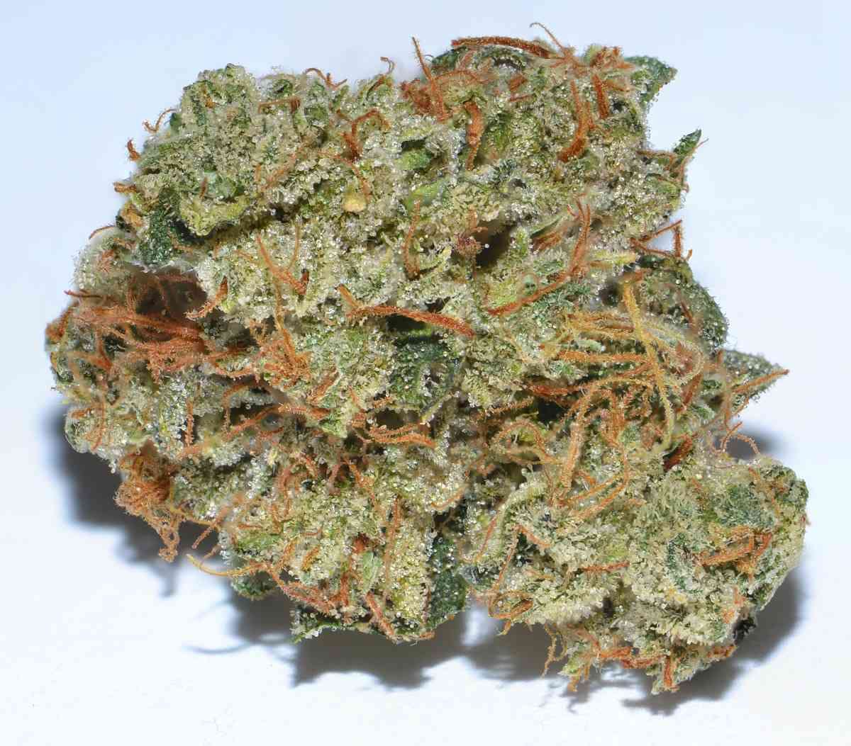 marijuana-dispensaries-1555-w-sepulveda-blvd-2c-suite-j-torrance-ferrari-og-5g-4040