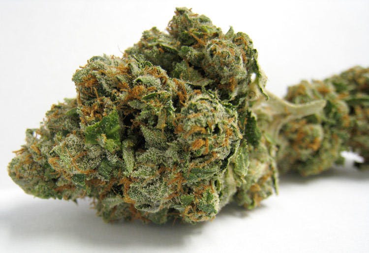 indica-fing-amazing-og-5g-40456g-4050