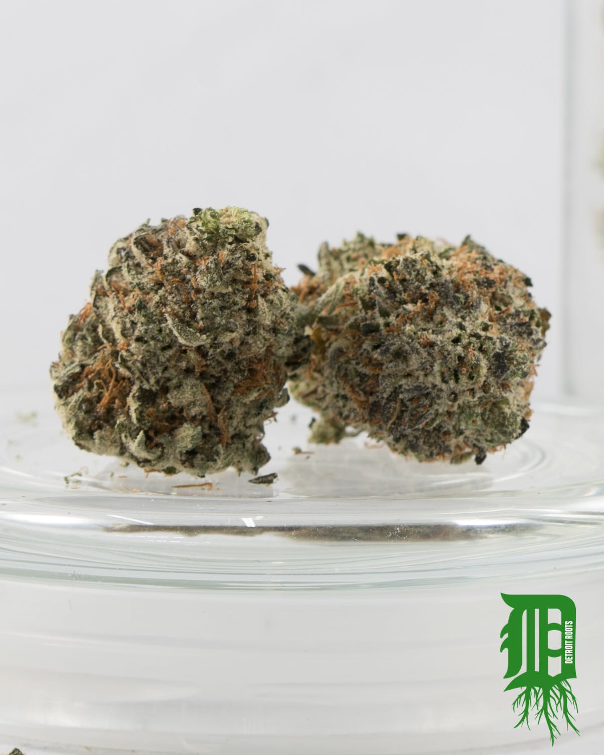 marijuana-dispensaries-12604-e-jefferson-ave-detroit-fire-alien-kush-pre-packaged-ounce-only