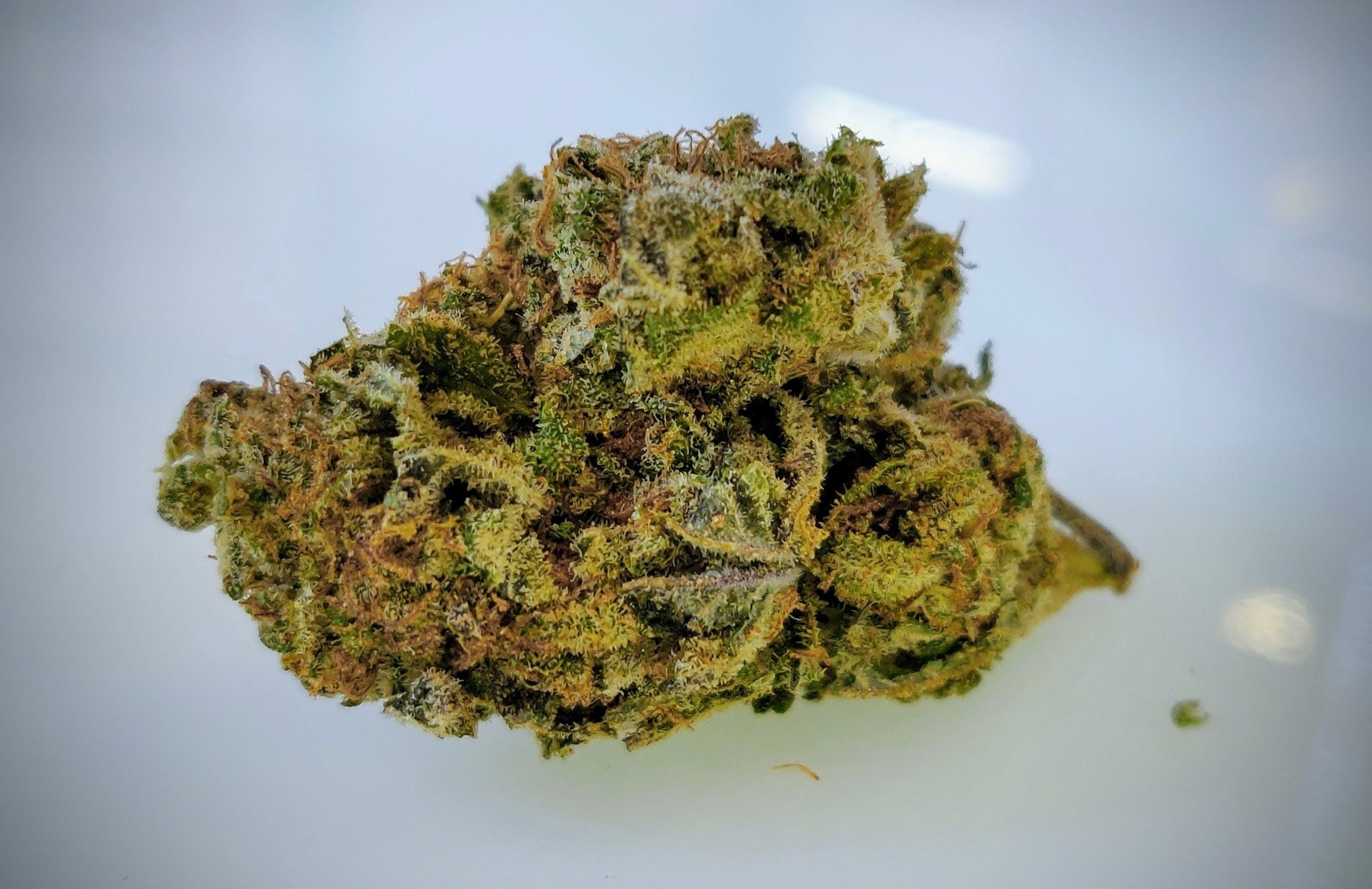 marijuana-dispensaries-green-plus-in-oklahoma-city-flo