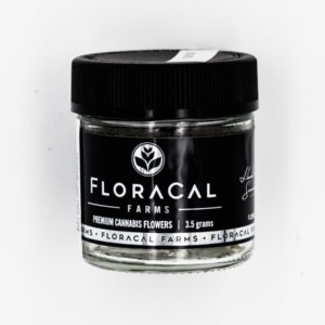 FloraCal - Rose 1/8th