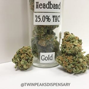 Flower (Gold) - Headband