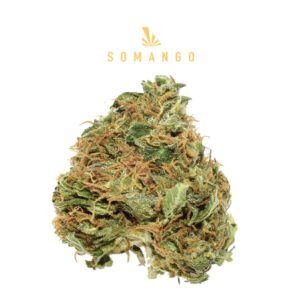 Flower - Somango (8.04% CBD) (8.26% THC)