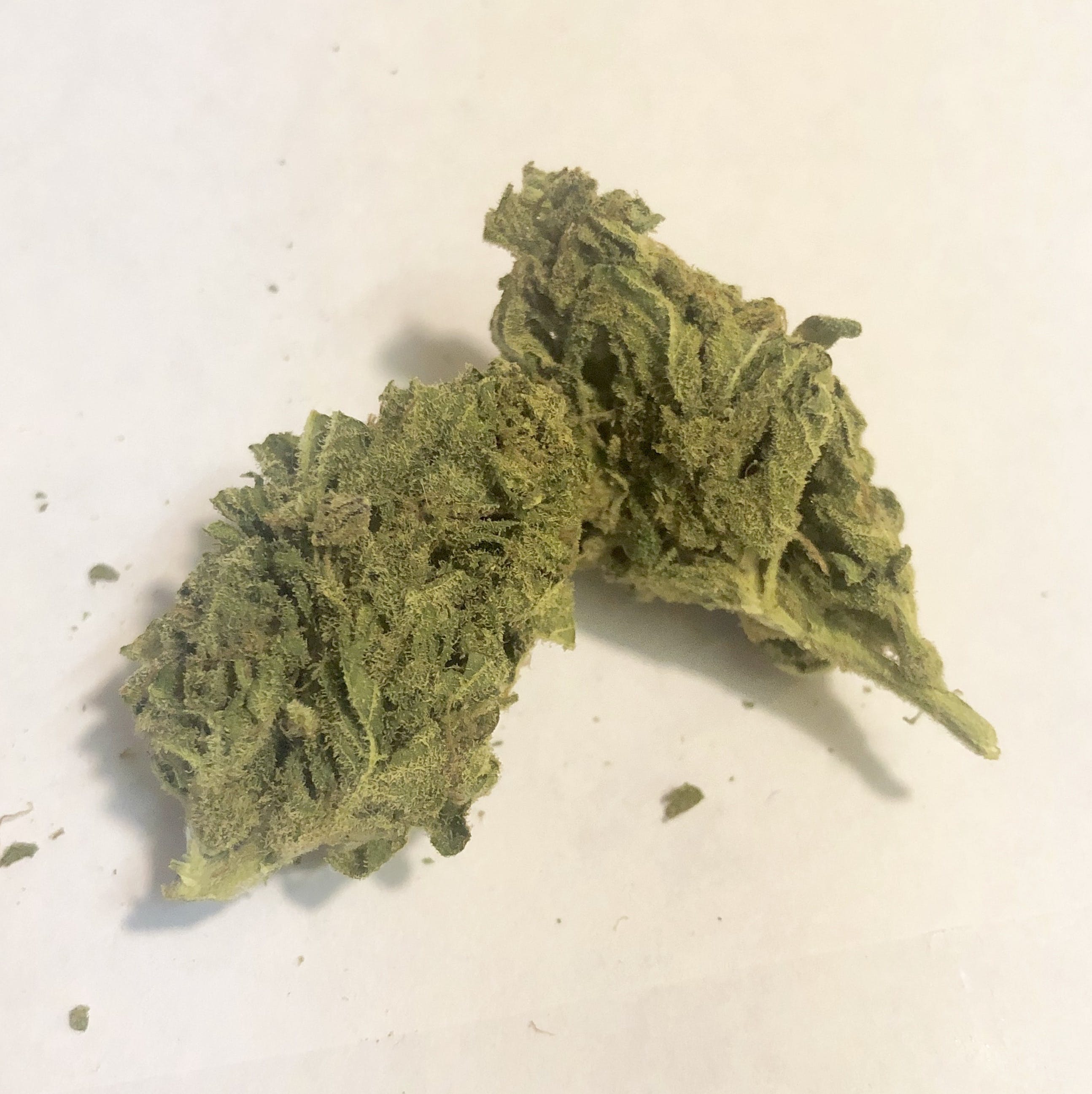 marijuana-dispensaries-west-y-herbal-dispensary-in-wellston-forum-cookie