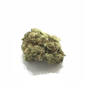 Girl Scout Glue (Non-Members)