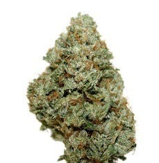 GODFATHER OG **EXCLUSIVE**