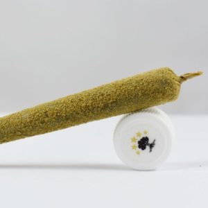 Golani pre rolls **FRENCH VANILLA** ( 2 @ 20 )