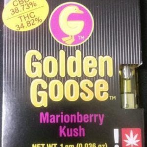 Golden Goose Tangie