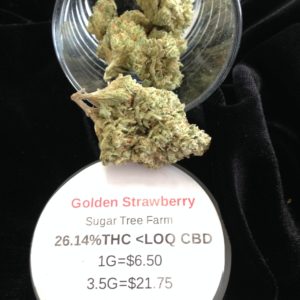 Golden Strawberry by Sugar Tree Farm