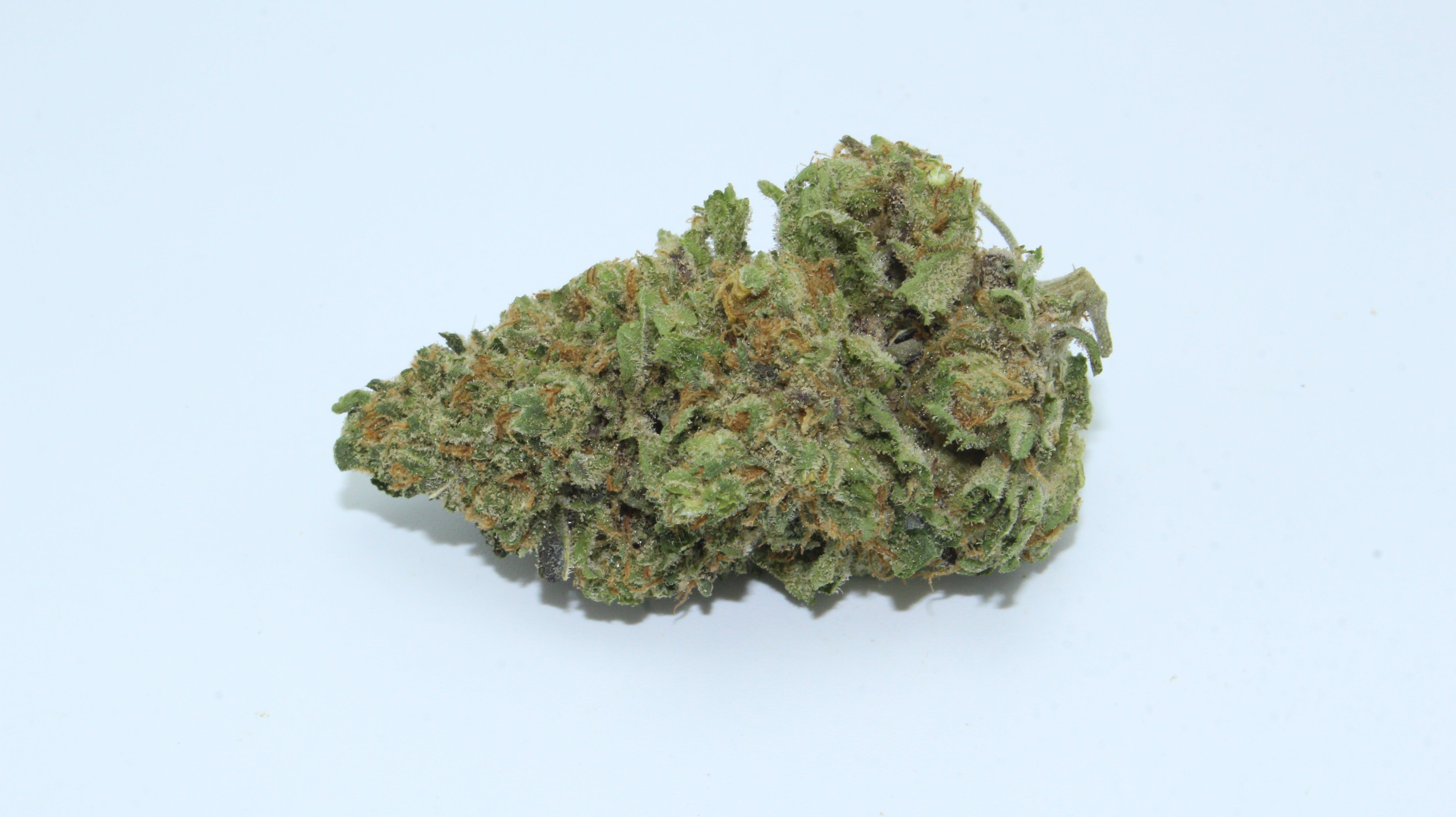 marijuana-dispensaries-800-portola-drive-del-rey-oaks-goldseal-animal-cookies