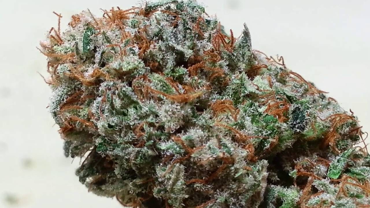 marijuana-dispensaries-reef-dispensaries-sparks-in-sparks-granola-funk