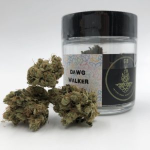 Green Bodhi - Dawg Walker (Recreational)