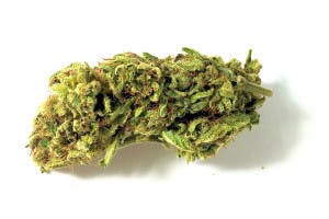 Green Crack (Prime): 25.38% THC