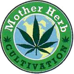 preroll-gsc-mother-herb