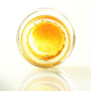 GTI Live Sugar Tangie