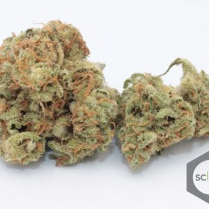 GUAVA HAZE - Private Reserve