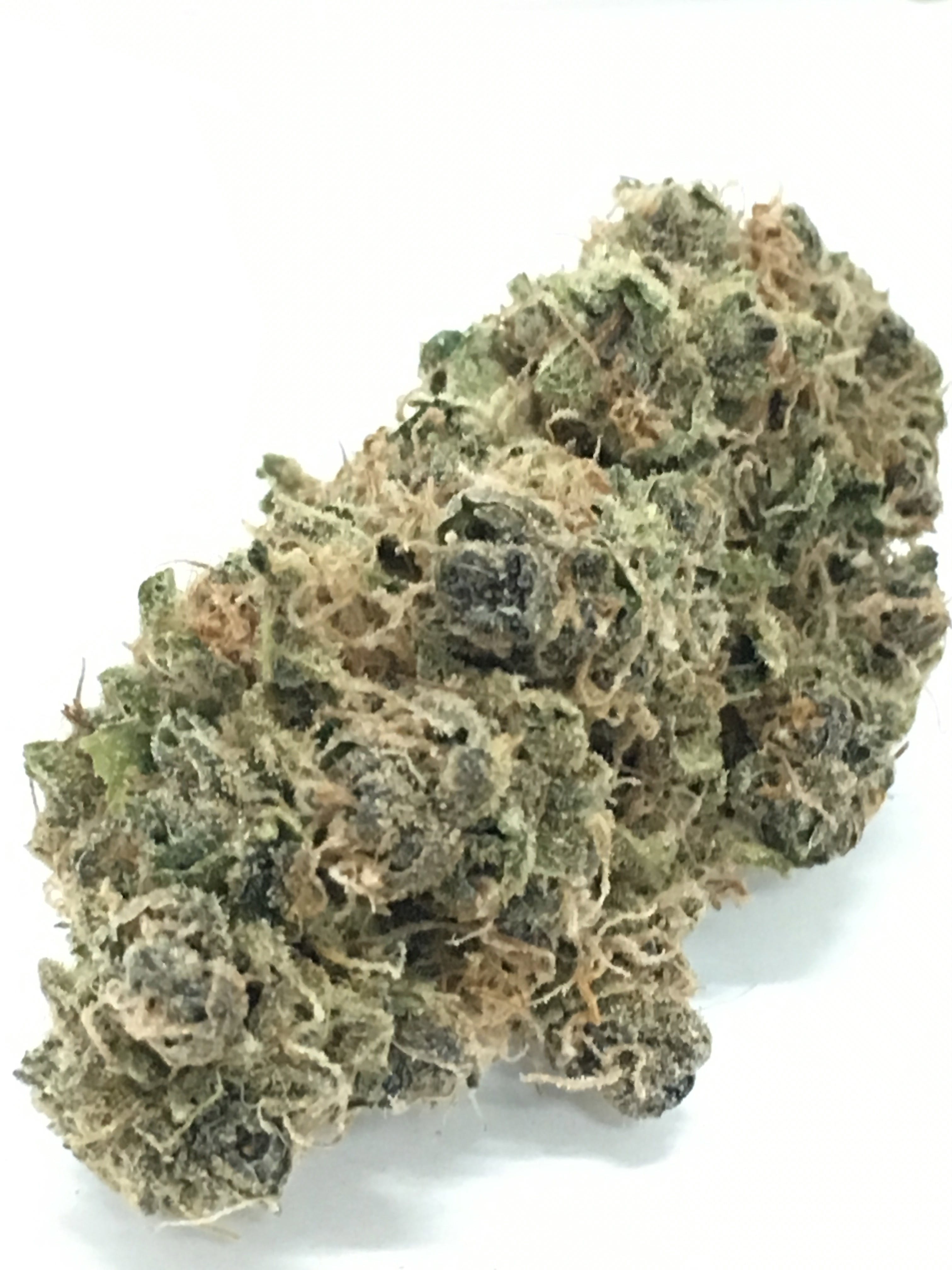 marijuana-dispensaries-102-e-mayberry-ave-hemet-hash-plant-exclusive