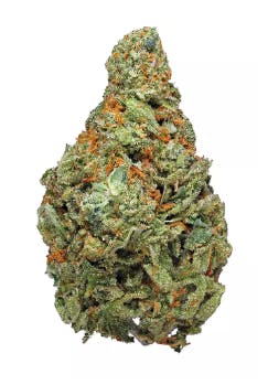 Head Cheese | Polaris MMJ