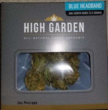 hybrid-hg-blue-headband-18th