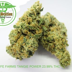 High Life Farms Tangerine Power