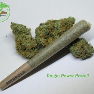 High Life Farms Tangie Power PR