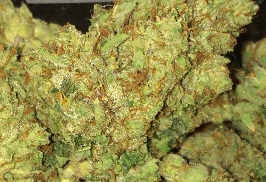 indica-holy-grail-private-reserve