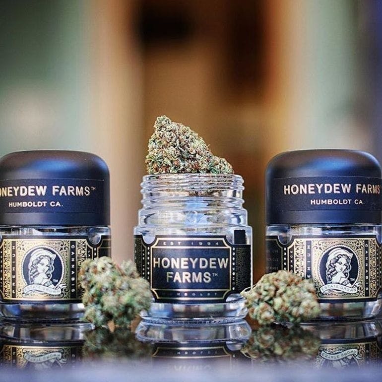 marijuana-dispensaries-9021-rosedale-hwy-bakersfield-honeydew-frosting-flower