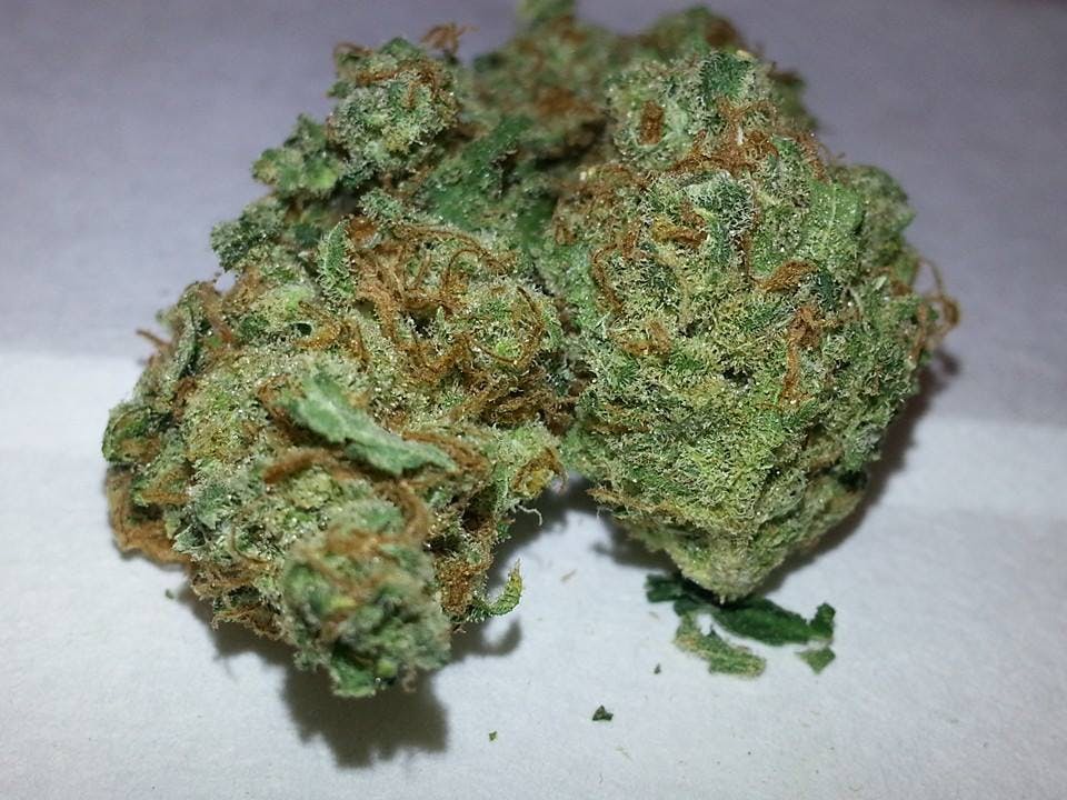 sativa-hungarian-banana