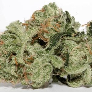 IC Collective: Chem Fruit