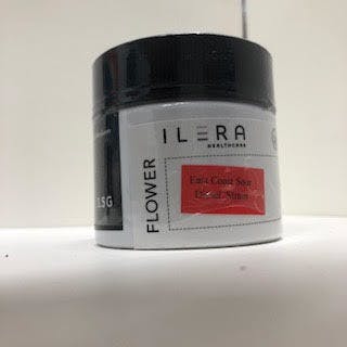 Ilera - East Coast Sour D Flower