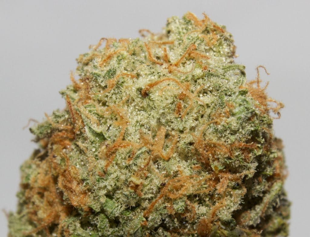 marijuana-dispensaries-1000-independence-road-trinidad-indiana-bubblegum-cone-18-2-25-thc-2c-1g