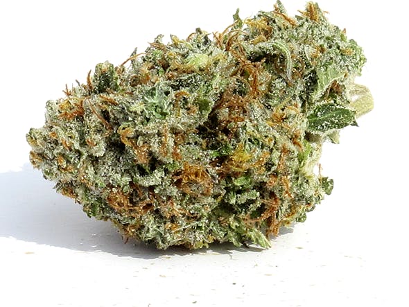 sativa-jack-the-ripper-5g-4055