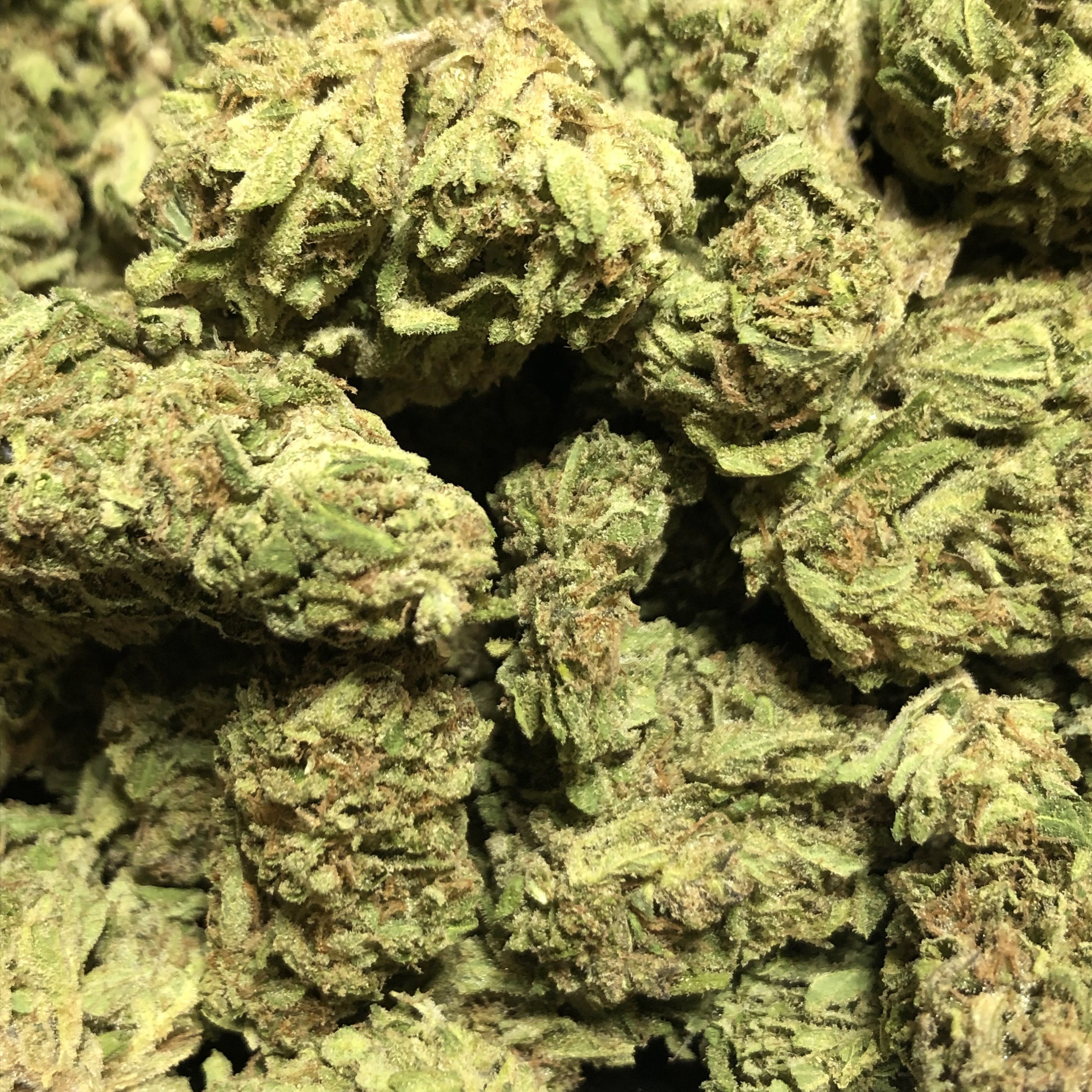 marijuana-dispensaries-green-plus-in-oklahoma-city-jack-the-ripper