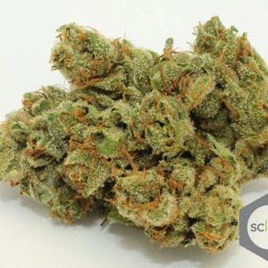 Jet Fuel OG (5G @ $55)