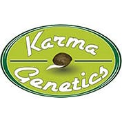 [[Karma Genetics]] Karma OG