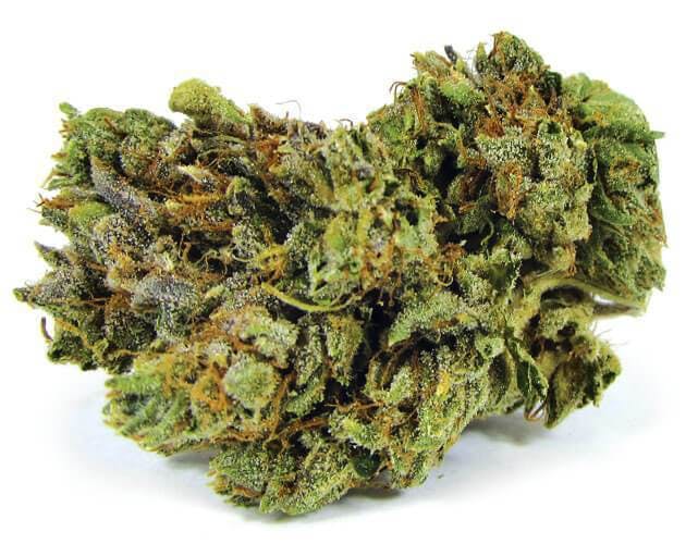 marijuana-dispensaries-1555-w-sepulveda-blvd-2c-suite-j-torrance-killer-og-5g-4040