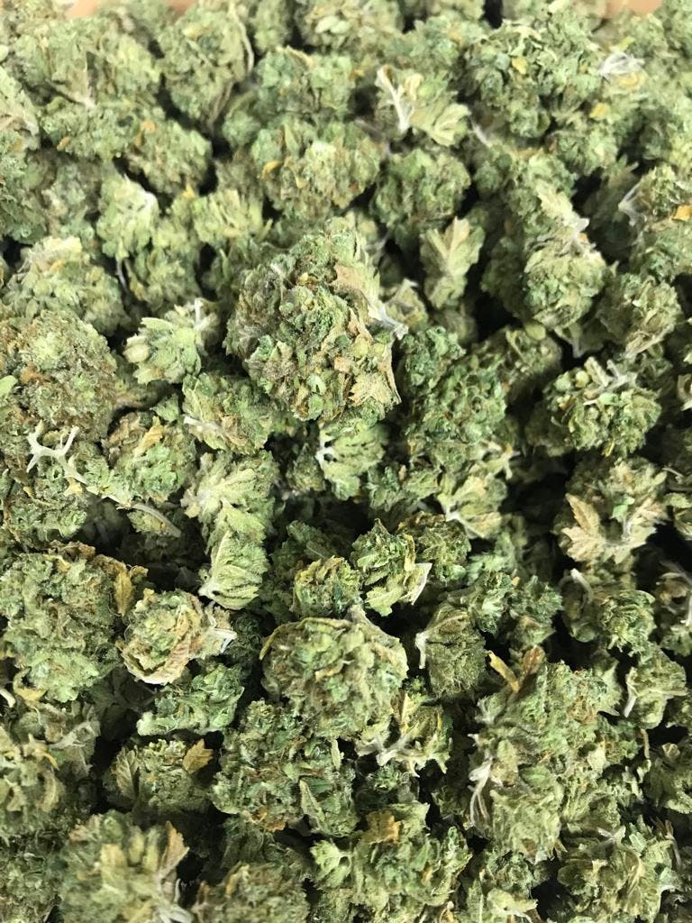 marijuana-dispensaries-releaf-solutions-2c-cll-agueybana-2c-san-juan-king-kong-thc-19-31-25-2c-cbd-0-14-25-2c-cbg-1-16-25