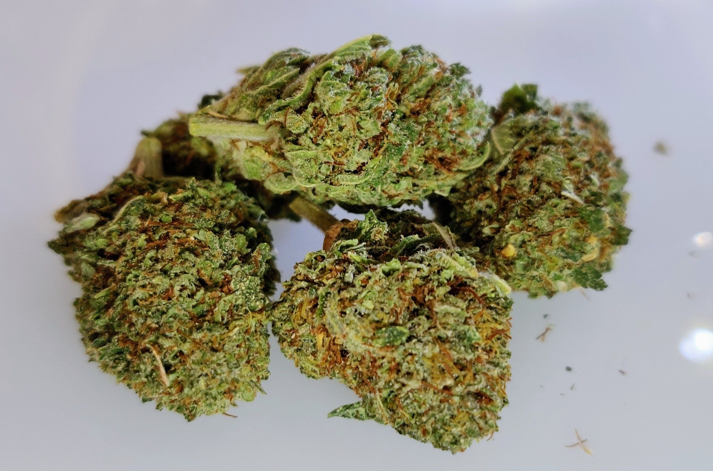 marijuana-dispensaries-allgreens-medical-in-denver-kong
