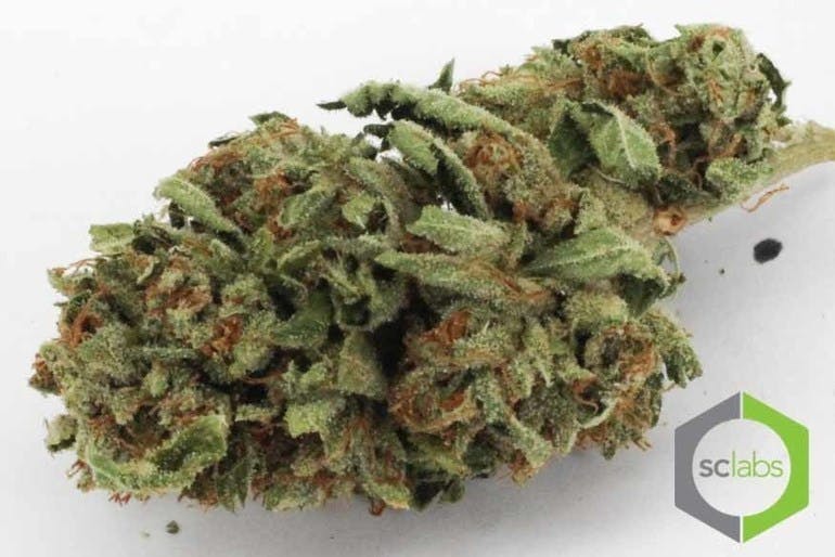 marijuana-dispensaries-sacred-spirit-40-cap-in-inglewood-legend-o-g