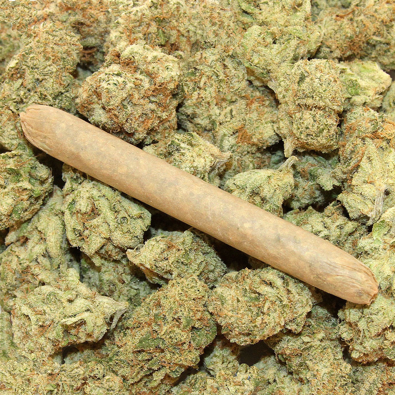 Lemon Cream Pre-Roll - Stone Madrone