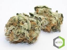 MASTERMIND OG *Topshelf*