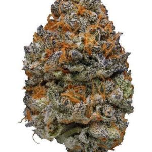 Mendo Breath - OutCo