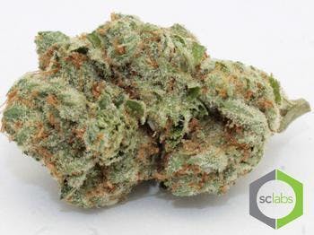 Mendo Breath - Premium