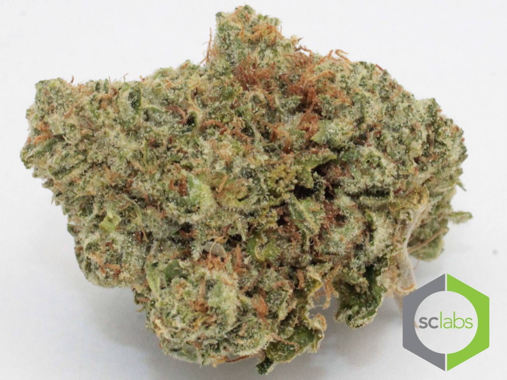 indica-midshelf-paris-og-3-5-g-40-2425