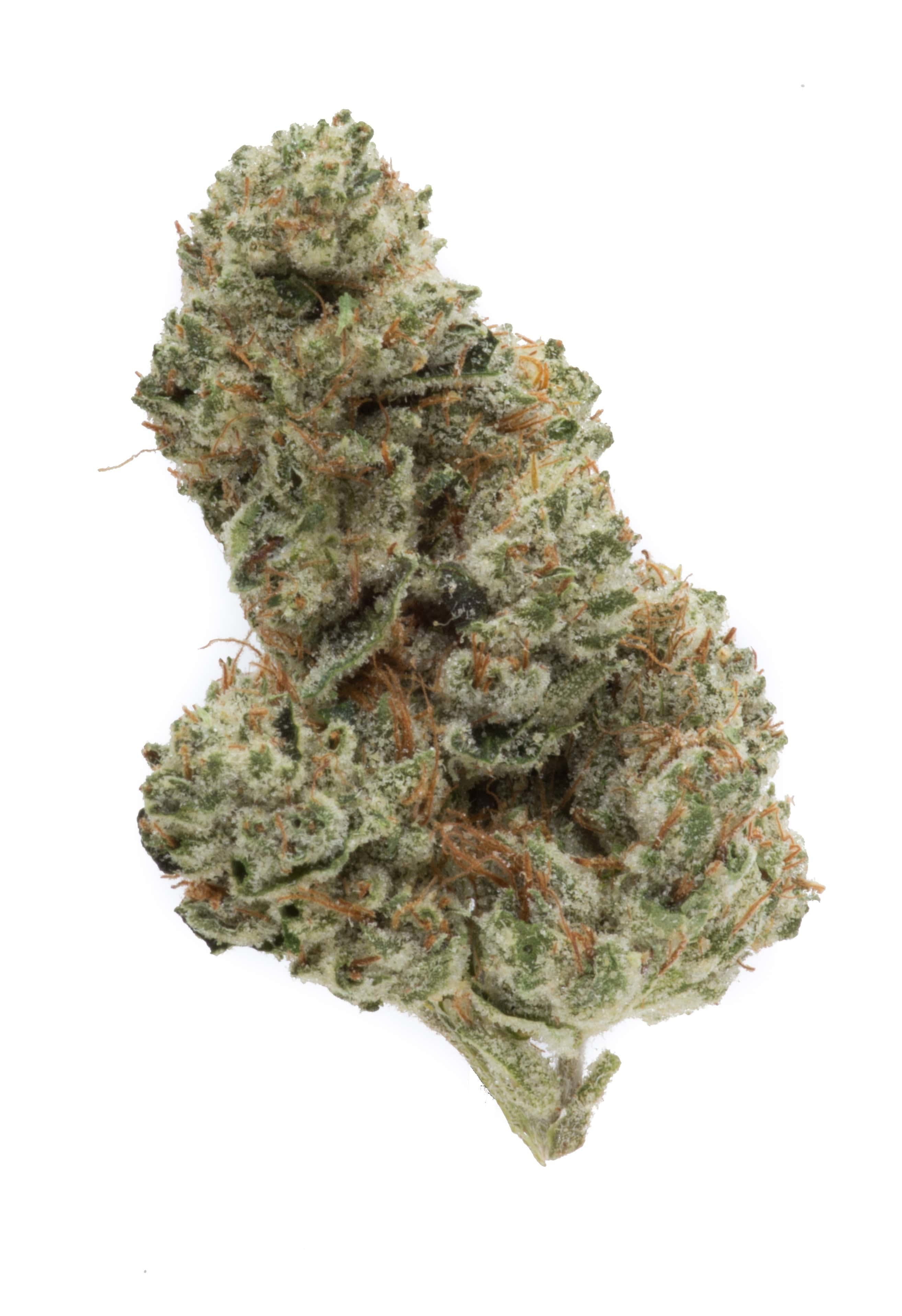 marijuana-dispensaries-1000-independence-road-trinidad-motor-breath-29-3-25-thc