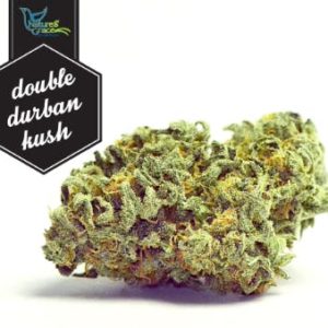 NGW - Double Durban Kush