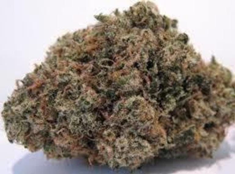 marijuana-dispensaries-1555-w-sepulveda-blvd-2c-suite-j-torrance-notorious-og-5g-4040