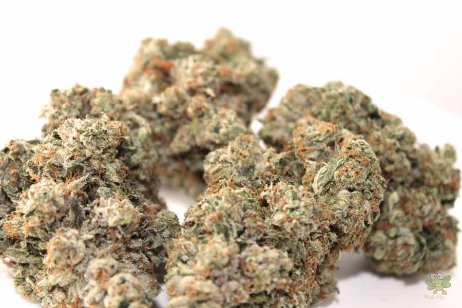 marijuana-dispensaries-1555-w-sepulveda-blvd-2c-suite-j-torrance-octane-og-5g-4040